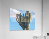 Crested Saguaro in National Park West  Acrylic Print