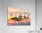 Sea Oats against rising sun in Florida  Acrylic Print