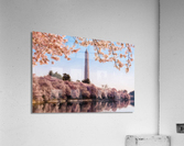 Digital art of the Washington Monument towering above blossoms  Acrylic Print