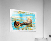 Digital watercolor of Sea Otter floating in the sea  Acrylic Print