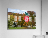 Stop in the name of love road sign in Vermont  Acrylic Print