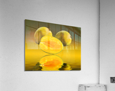 Two mangoes and one cut mango reflecting  Acrylic Print