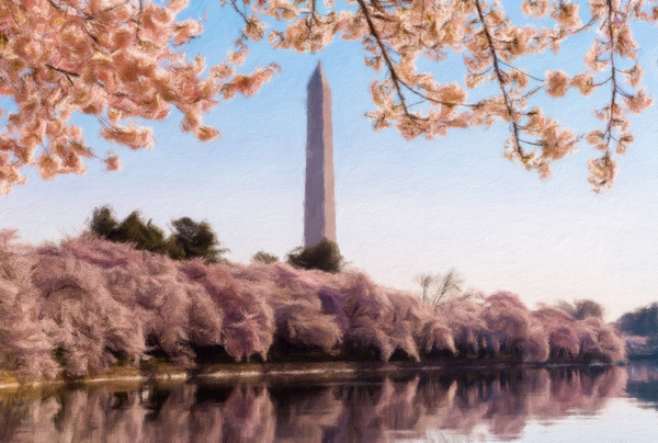 Digital art of the Washington Monument towering above blossoms by Steve Heap
