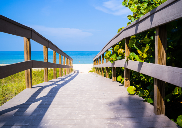 Boardwalk among sea oats to beach in Florida by Steve Heap