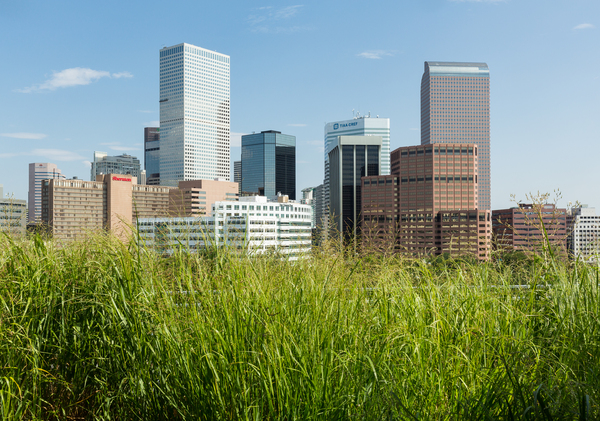 View of downtown buildings in Denver by Steve Heap