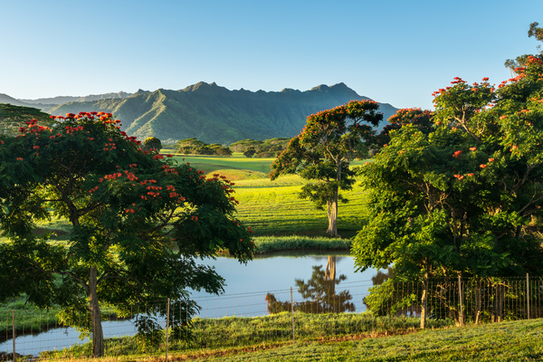 Striking landscape of garden island of Kauai by Steve Heap