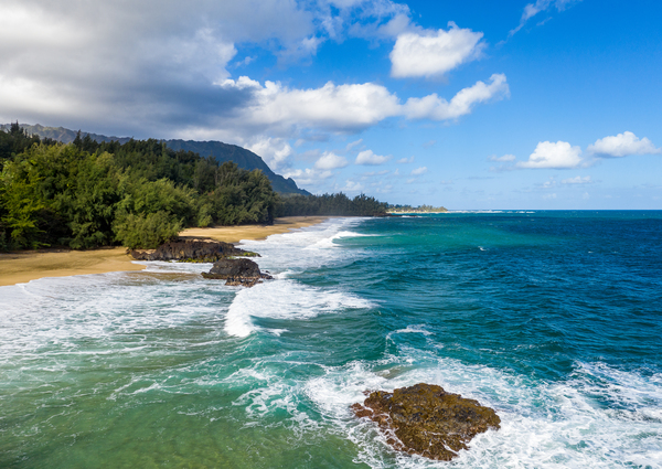 Aerial drone shot of Lumahai Beach on the north shore of Kauai i by Steve Heap
