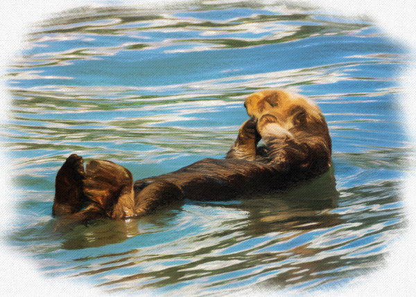 Digital pastel of Sea Otter floating in the sea by Steve Heap