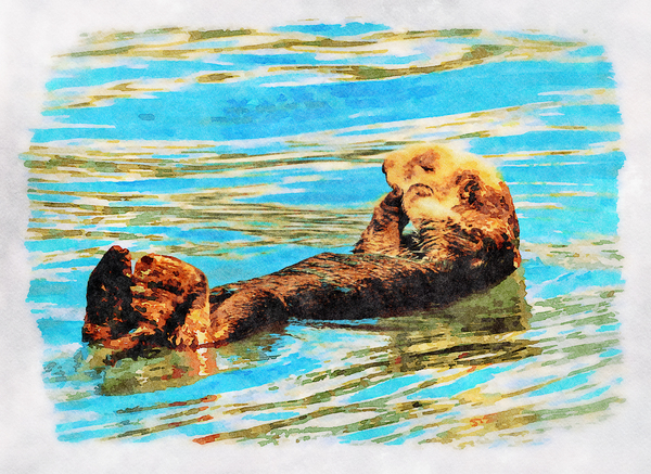 Digital watercolor of Sea Otter floating in the sea by Steve Heap