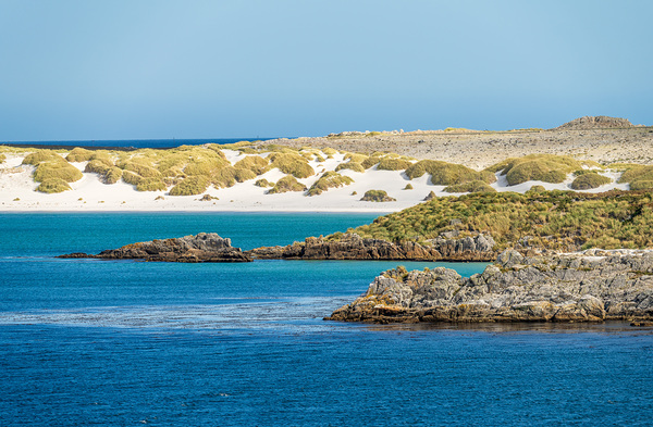 White sandy beaches near Port Stanley on Falkland Islands on sun by Steve Heap
