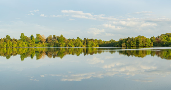 View across the Mere to a clear reflection of distant trees in E by Steve Heap