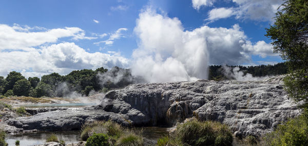 Whakarewarewa thermal geyser area by Steve Heap