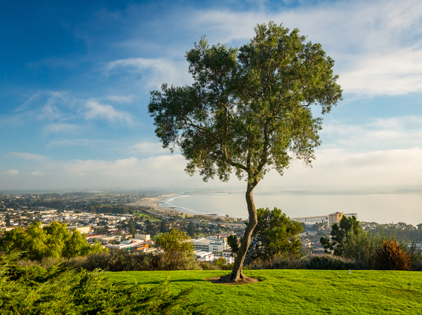 Panorama of Ventura from Grant Park by Steve Heap