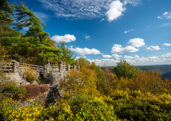 Coopers Rock state park overlook with fall colors by Steve Heap