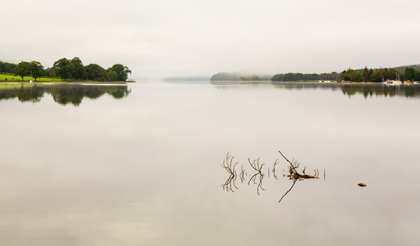 Reflection of branch in Coniston Water  by Steve Heap