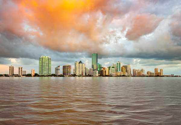 Dawn view of Miami Skyline  by Steve Heap