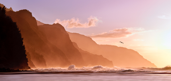 Kauai sunset with bird  by Steve Heap