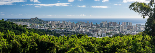 Panorama of Waikiki and Honolulu by Steve Heap