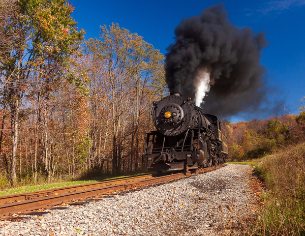 WMRR Steam train powers along railway by Steve Heap