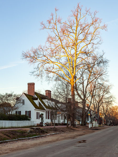 Old houses in Colonial Williamsburg by Steve Heap