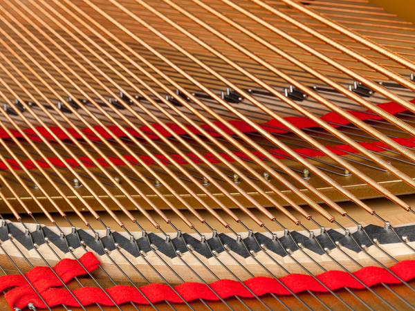 Interior of grand piano with strings by Steve Heap