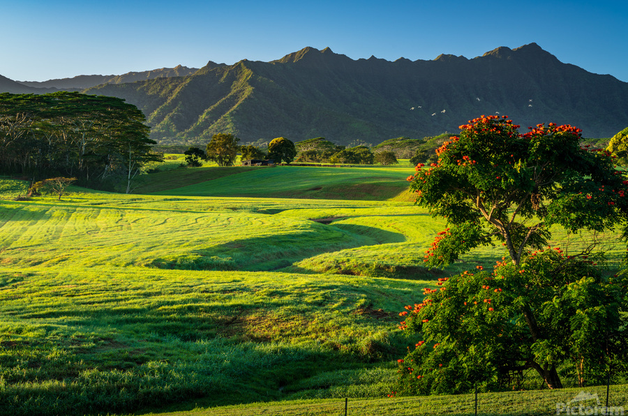 Early morning light on garden island of Kauai  Print