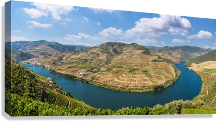 Vineyards line the Douro valley in Portugal  Canvas Print