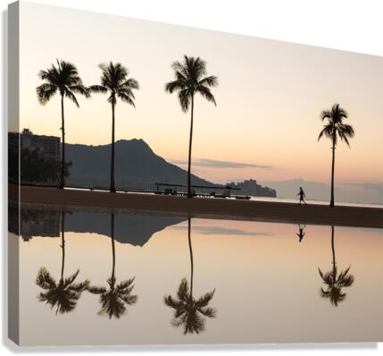 Sunrise over ocean with palm trees  Canvas Print