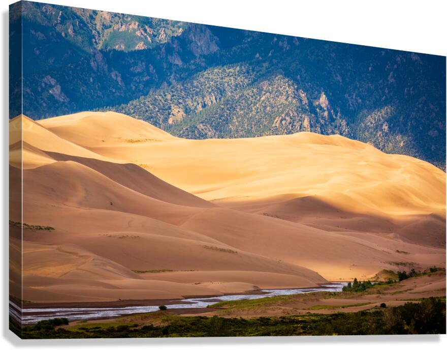 Detail of Great Sand Dunes NP   Canvas Print
