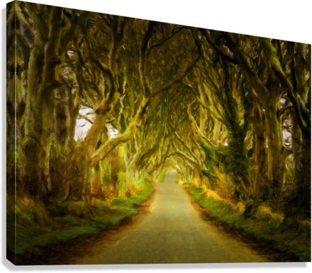 Dark Hedges road through old trees in digital oil  Canvas Print