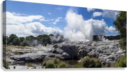 Whakarewarewa thermal geyser area  Canvas Print