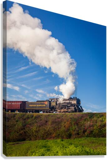 WMRR Steam train powers along railway  Canvas Print