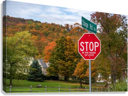 Stop in the name of love road sign in Vermont  Canvas Print