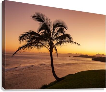 Sunrise in Kauai from Princeville  Canvas Print