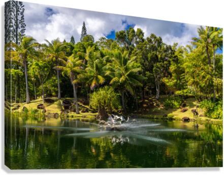 Gorgeous lagoon and lake in the Na Aina Kai sculpture garden  Canvas Print