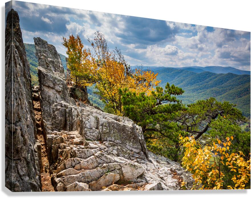 Seneca Rocks in West Virginia  Canvas Print