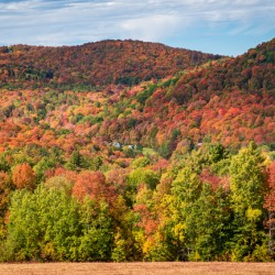 Multi-colored hillside in Vermont during the fall
