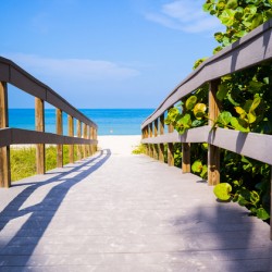 Boardwalk among sea oats to beach in Florida