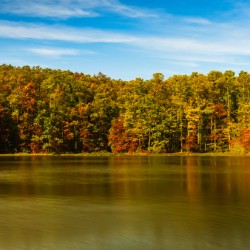 Fall leaves surround reservoir in Coopers Rock State Forest in W