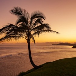 Sunrise in Kauai from Princeville