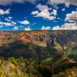 Panorama of the Waimea Canyon from the Iliau Nature loop