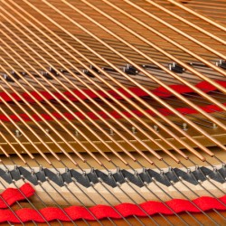 Interior of grand piano with strings