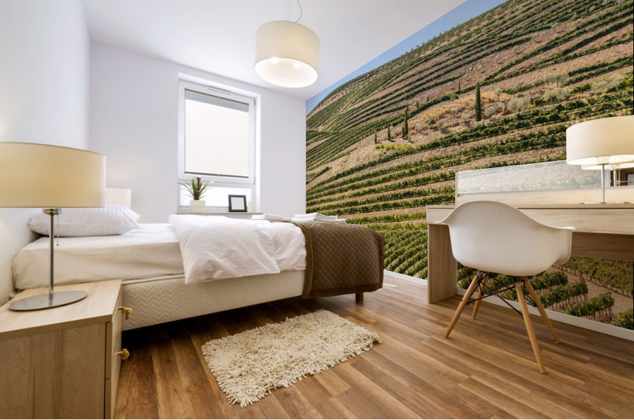 Terraced rows of vines by river Douro in Portugal Mural print