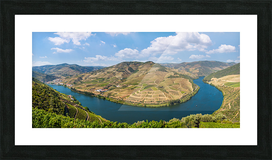 Vineyards line the Douro valley in Portugal  Framed Print Print