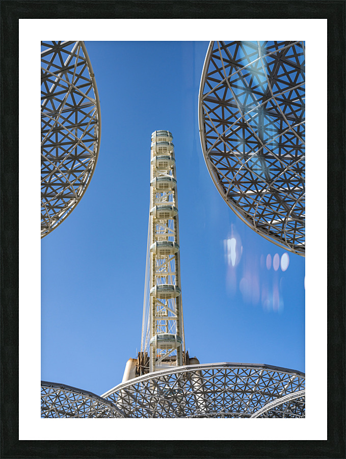 Ain Dubai observation wheel on Bluewaters Island in Jumeirah  Framed Print Print