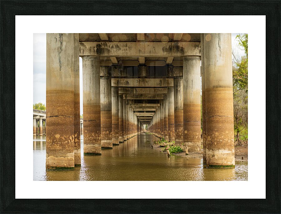 Supporting pillars of I-10 bridge above Atchafalaya basin in Lou  Framed Print Print