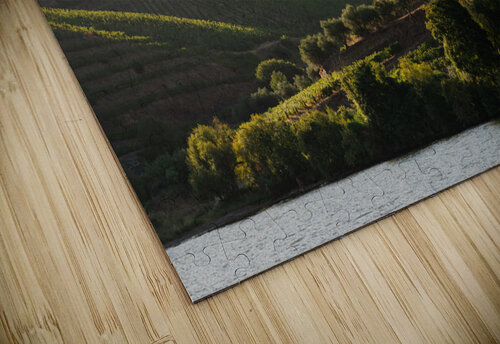 Terraced vineyard on the banks of the Douro Steve Heap puzzle