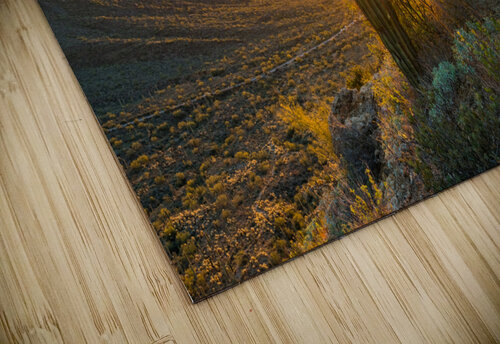 Sunset in Saguaro National Park West Steve Heap puzzle