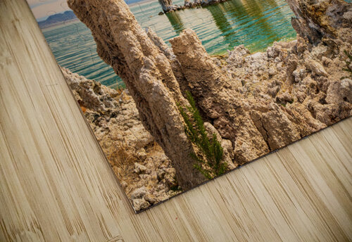 Tufa in the salty waters of Mono Lake Steve Heap puzzle