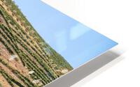 Terraced rows of vines by river Douro in Portugal HD Metal print